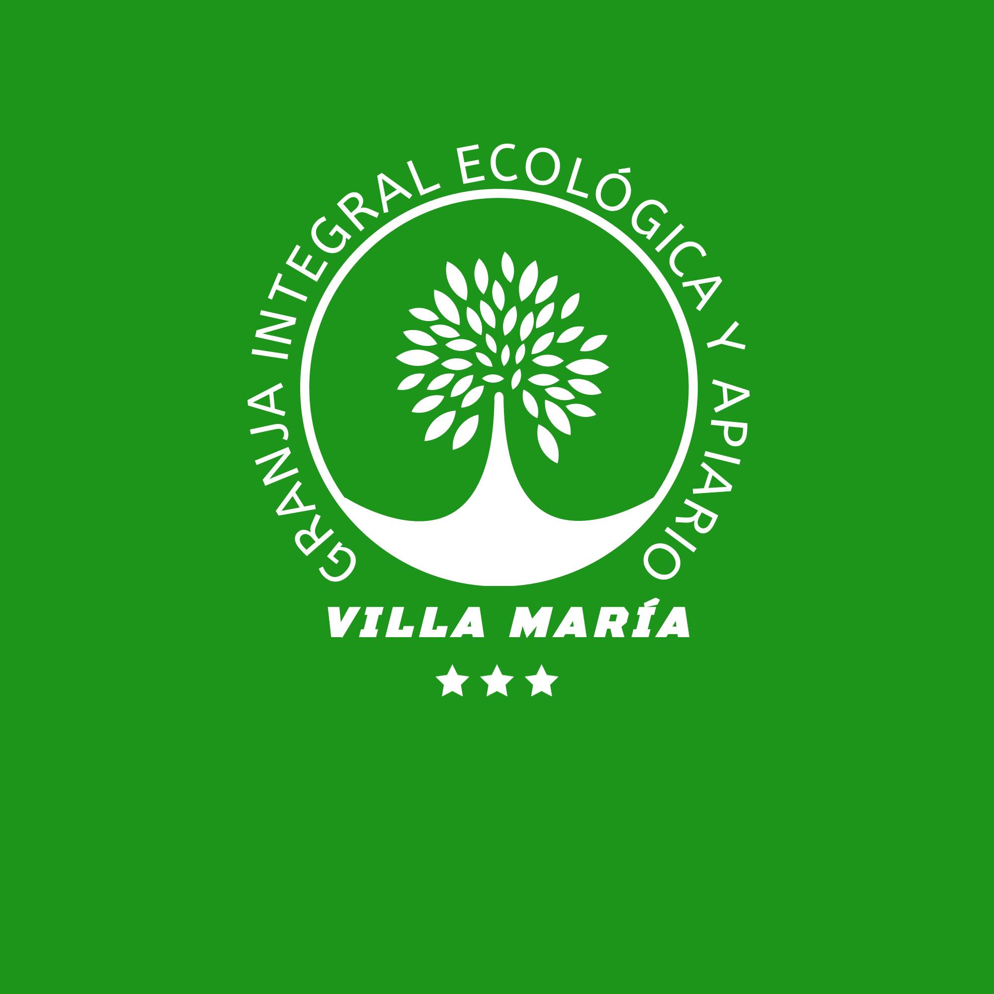 Logo Villa María